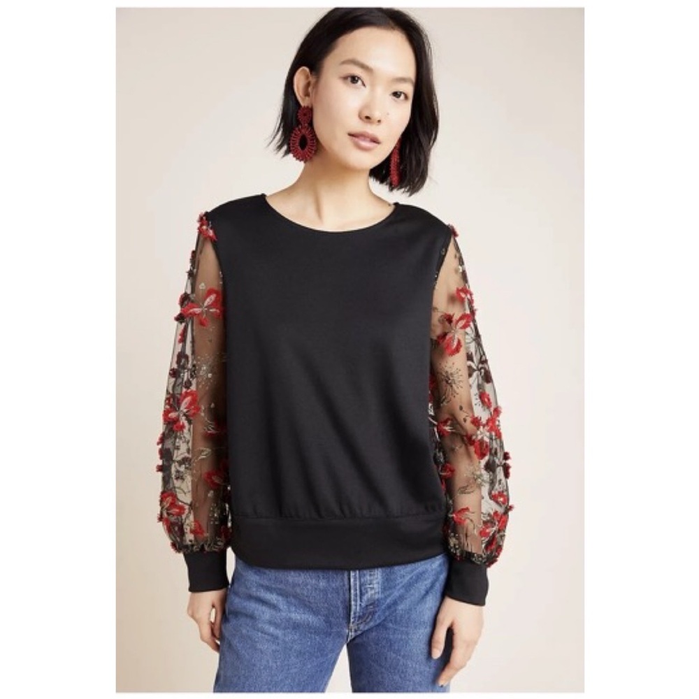 Eva Franco Rios Black Velvet Mesh Embroidered Sleeve Top XS‎ Whimsigoth Romantic